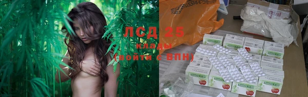 соль ск Бугульма