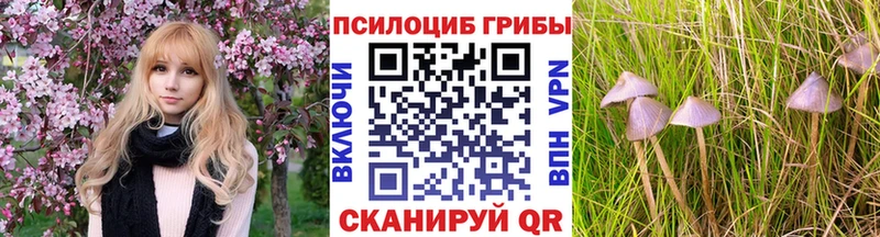 Галлюциногенные грибы ЛСД  Купить где  Кузнецк 